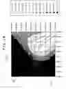 Fig. 14 - Sound absorbing structure