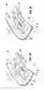 Fig. 06 - Selectable Mode Clutch