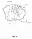 Fig. 16 - Engine including clutch actuator
