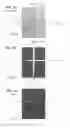 Fig. 08 - Methods for forming small-volume electrical contacts and material manipulations with fluidic microchannels