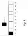 Fig. 09 - Ice dispense system and method