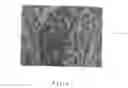 Fig. 07 - Biomaterial and preparation method thereof