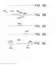 Fig. 08 - System and method for deforming surfaces