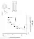 Fig. 31 - Systems for differential ion mobility analysis