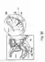 Fig. 49 - Radioimaging using low dose isotope