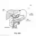 Fig. 64 - Radioimaging using low dose isotope