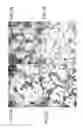 Fig. 02 - Nanostructures and method for selective preparation