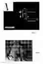 Fig. 08 - Nanostructures and method for selective preparation