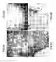 Fig. 09 - Nanostructures and method for selective preparation