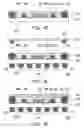 Fig. 07 - CHIP PACKAGE AND FABRICATING PROCESS THEREOF