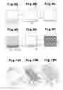Fig. 06 - Semiconductor apparatus and manufacturing method thereof