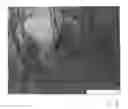 Fig. 09 - Method of producing a film made of a thermoplastic material