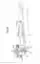 Fig. 18 - Medium supplying apparatus and image forming apparatus