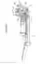 Fig. 19 - Medium supplying apparatus and image forming apparatus