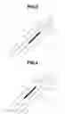 Fig. 03 - Windscreen For Automobile