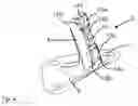 Fig. 05 - Door hinge for a motor vehicle