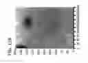 Fig. 15 - Non-destructive testing of physical characteristics of composite structures