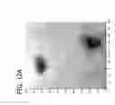 Fig. 17 - Non-destructive testing of physical characteristics of composite structures