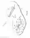 Fig. 09 - Electronic device