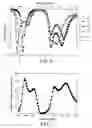 Fig. 06 - Antenna for mobile communication terminals