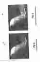 Fig. 08 - Image display system and method