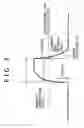 Fig. 09 - Display apparatus