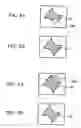 Fig. 06 - Repair method and apparatus therefor