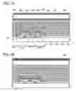 Fig. 08 - ANTI-REFLECTION FILM AND DISPLAY DEVICE