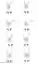 Fig. 06 - Closing module for an optical arrangement