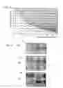 Fig. 04 - Electrostatically atomizing device
