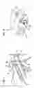 Fig. 02 - Mounting system for telecommunications panels