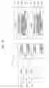 Fig. 04 - OPTICAL RECORDING MEDIUM, RECORDING/REPRODUCING APPARATUS AND METHOD, AND RECORDING MEDIUM STORING PROGRAM FOR EXECUTING THE METHOD