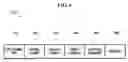 Fig. 07 - WIRELESS NETWORK SYSTEM AND METHOD OF TRANSMITTING OR RECEIVING DATA OVER WIRELESS NETWORK