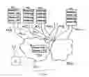 Fig. 01 - Multiple communication networks for multiple computers