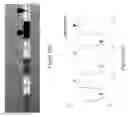 Fig. 06 - Phosphate glass based optical device and method