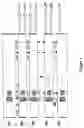 Fig. 02 - Selectively isolating processor elements into subsets of processor elements