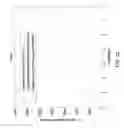 Fig. 22 - Methods and systems for digital image security