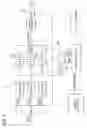 Fig. 07 - Watermark detection device