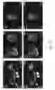 Fig. 08 - APPARATUS AND METHOD FOR CUSTOMIZED REPORT VIEWER