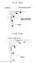 Fig. 84 - Pattern inspection apparatus and method