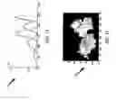 Fig. 09 - System or method for segmenting images