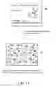 Fig. 09 - Steganographic encoding and detecting for video signals