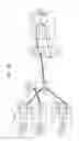 Fig. 09 - METHOD AND APPARATUS FOR PARTIAL DUPLEX PROTECTION SWITCHING BY USING SINGLE SPLITTER IN PON