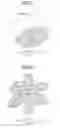 Fig. 07 - Lubricant applying device and image forming apparatus