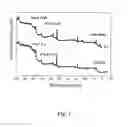 Fig. 02 - METHOD OF PREPARING SINGLE-WALL CARBON NANOTUBES