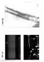 Fig. 10 - Bundle of long thin carbon structures, manufacturing method thereof, and electronic device