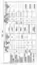Fig. 06 - Radiopharmaceutical dispensing, administration, and imaging