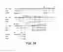 Fig. 06 - RS7 antibodies