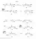 Fig. 05 - Composition for diagnosing amyloid-related diseases