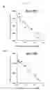 Fig. 13 - Composition for diagnosing amyloid-related diseases